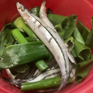 きびなごと長ネギの醤油煮